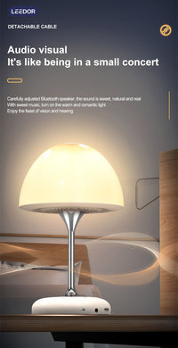 LEEDOR FM Remote Control Desk Lamp Wireless Speaker - 5W / Bluetooth / White