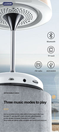 LEEDOR FM Remote Control Desk Lamp Wireless Speaker - 5W / Bluetooth / White